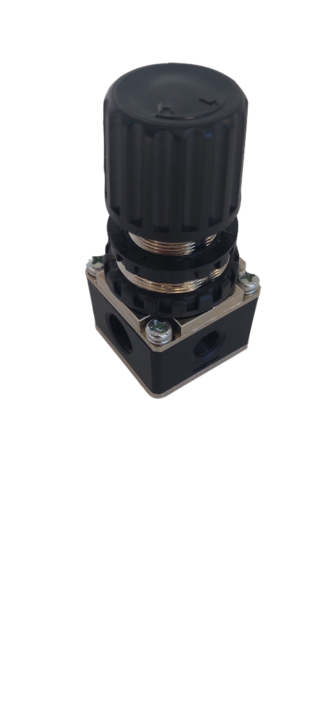 Fast Mover 10ltr Paint Pressure Tank Gauge, 1pc