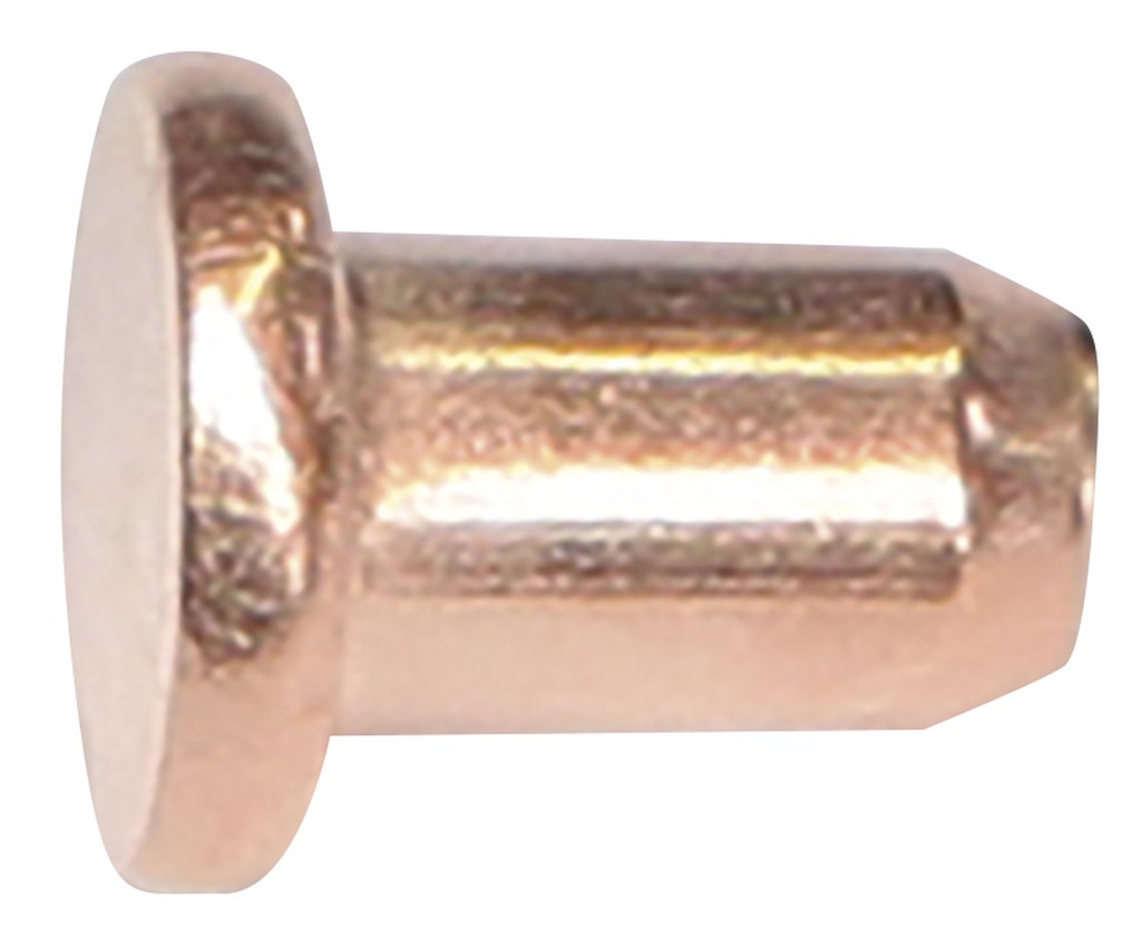 GYS 100 RIVETS DIAM. 3 x 4.5