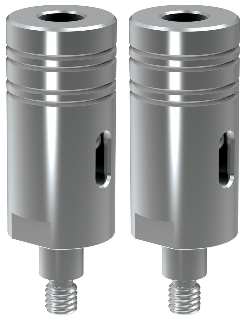 GYS HR310 ARM EXTENSIONS FOR CENTRAL RIVETING (x2) (XT 31-40)