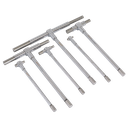Telescopic Bore Gauge Set 6pc