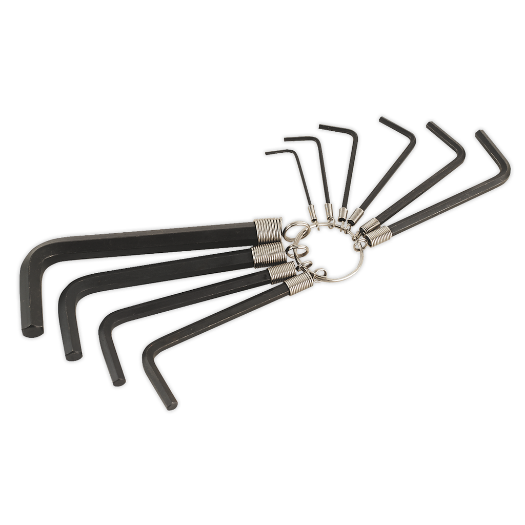 Premier Hex Key Set on Ring 10pc