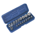 Premier TRX-Star* Socket & Bit Set 3/8"Sq Drive 19pc