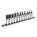 Premier Hex Socket Bit Set 1/4"Sq Drive11pc