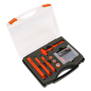 Premier Hybrid & Electric Vehicle Battery Tool Kit 19pc