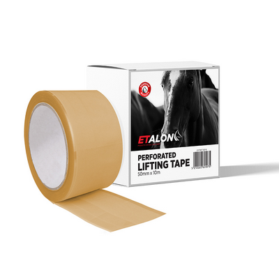 Etalon Perforated Lifting Tape 50mm x 10m (Each)