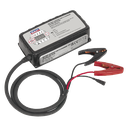 Sealey 12V-25A/24V-12.5A Battery Support Unit & Charger