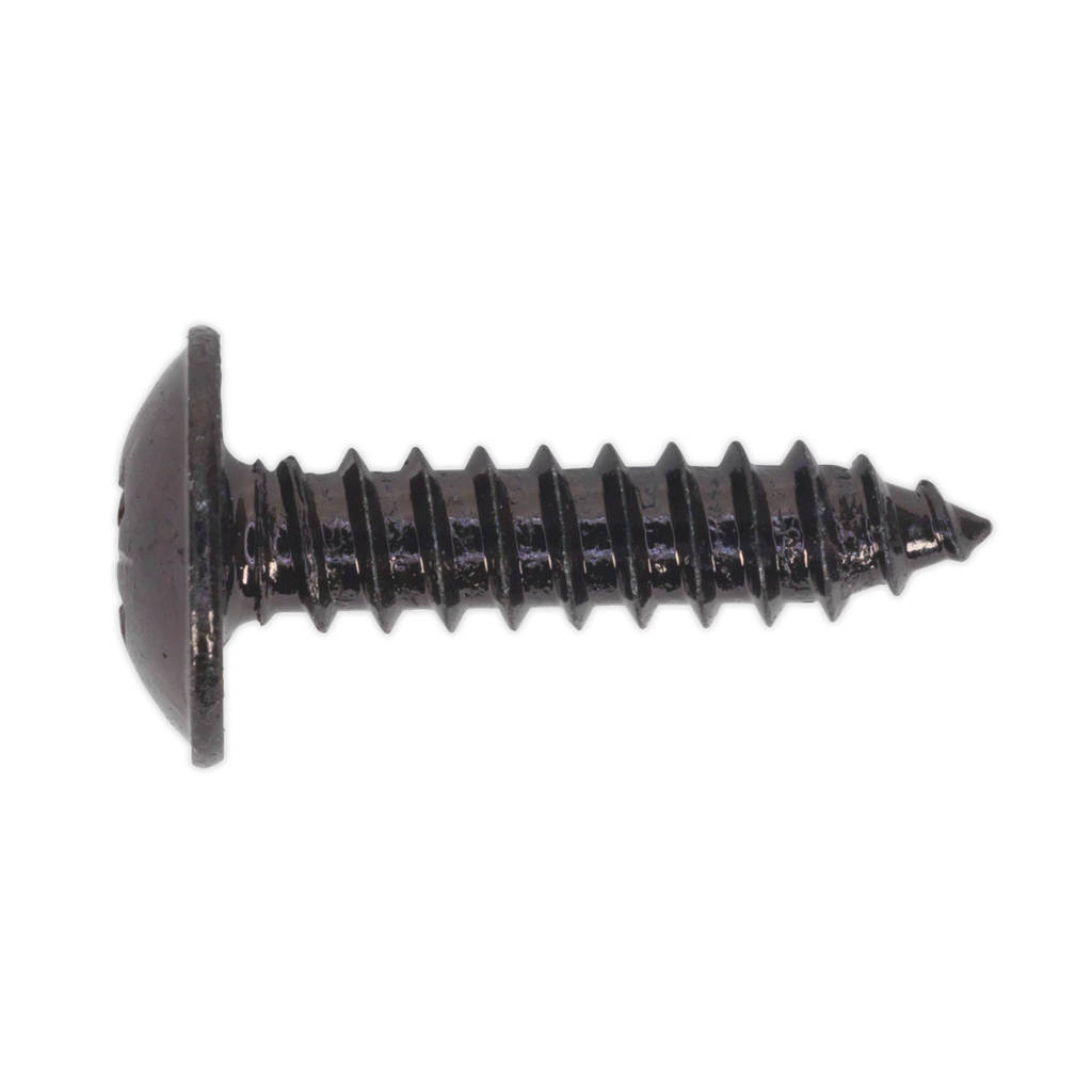 Sealey Self-Tapping Pozi Flanged Head Screw 4.8 x 19mm, Black - Pack of 100