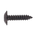 Sealey Self-Tapping Pozi Flanged Head Screw 4.8 x 19mm, Black - Pack of 100
