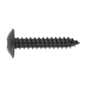 Sealey Self-Tapping Pozi Flanged Head Screw 4.8 x 25mm, Black - Pack of 100