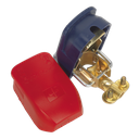 Sealey Quick Release Positive-Negative Battery Clamps - Pair
