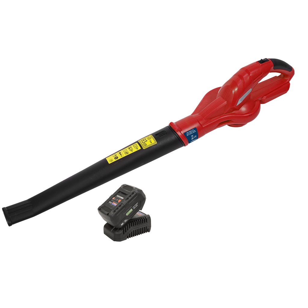 SV20 Series Cordless Leaf Blower with 20V 4Ah Battery & Charger