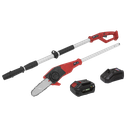 SV20 Series 20cm Cordless Telescopic Chainsaw Kit 20V 4Ah