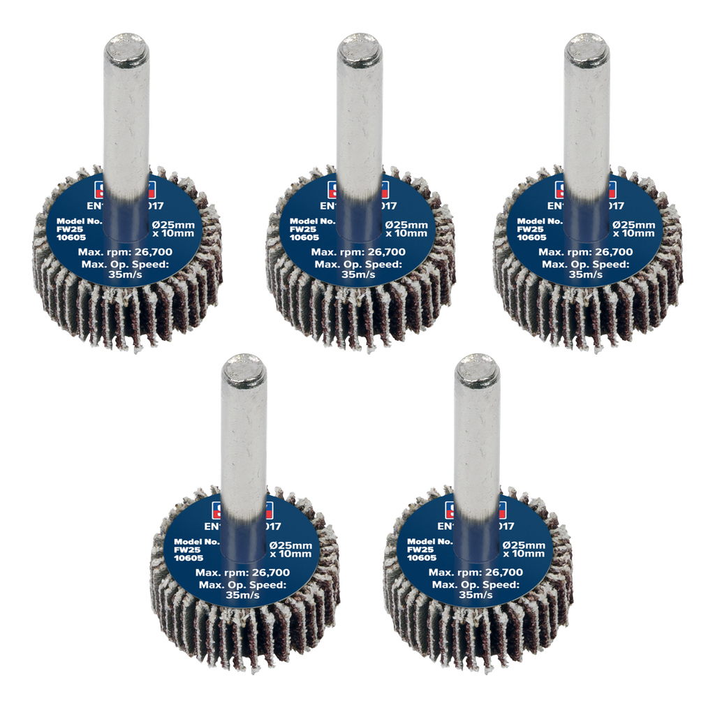 Sealey 25 x 10mm Abrasive Flap Wheel on 6mm Shaft 60Grit - Pack of 5