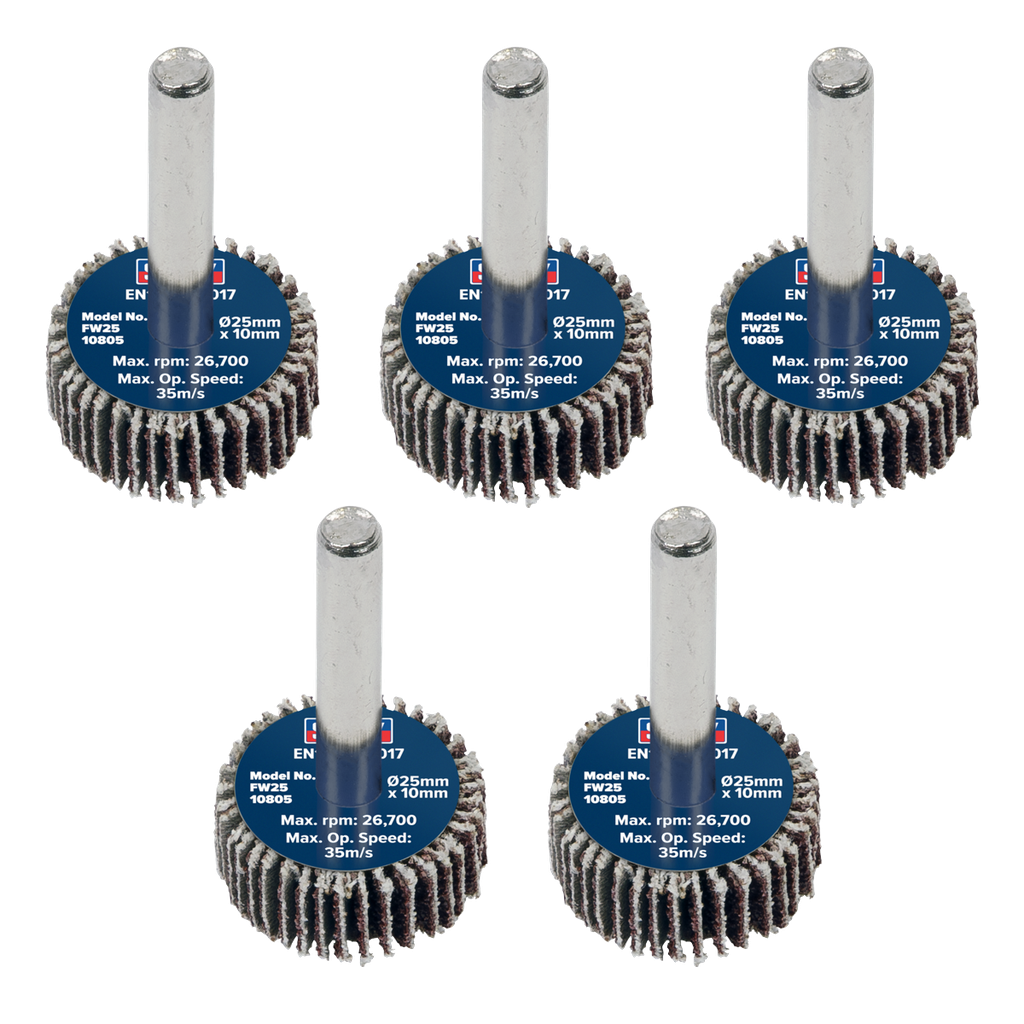 Sealey 25 x 10mm Abrasive Flap Wheel on 6mm Shaft 80Grit - Pack of 5