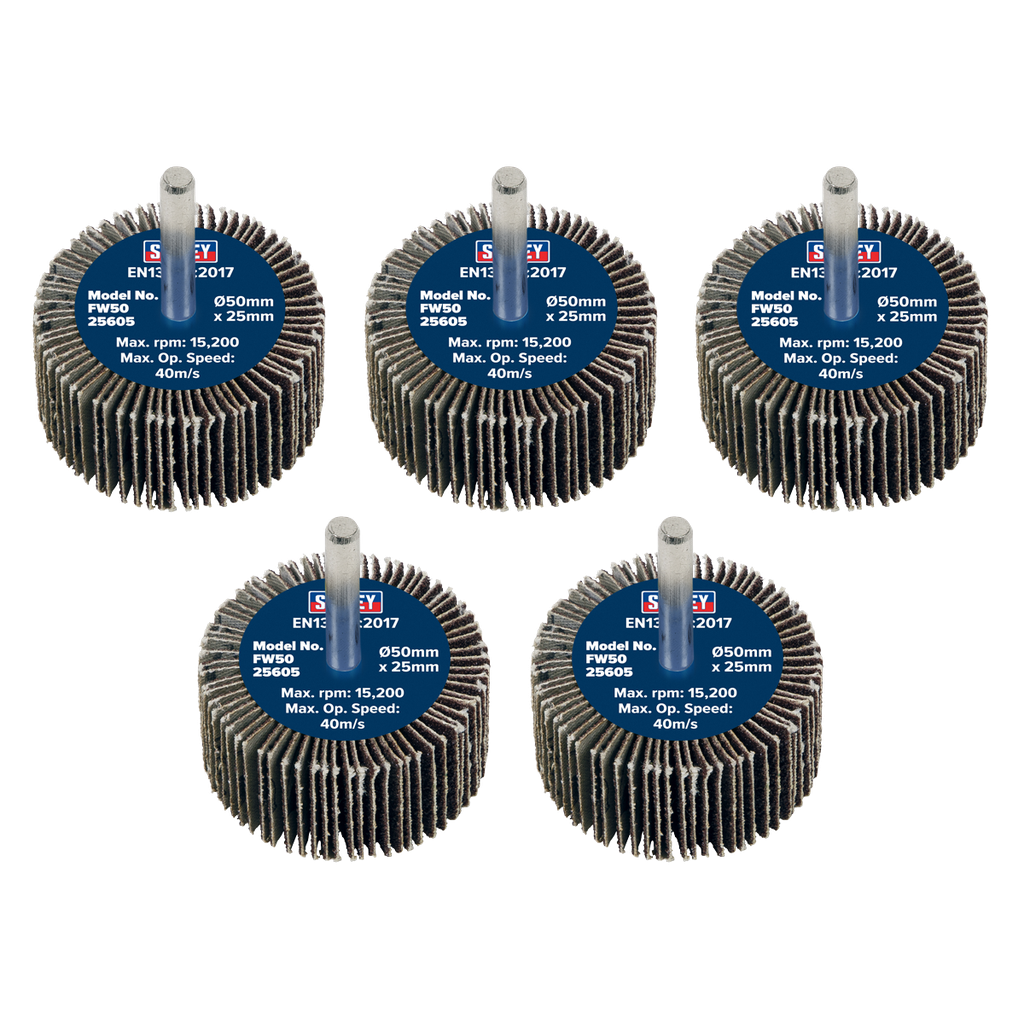 Sealey 50 x 25mm Abrasive Flap Wheel on 6mm Shaft 60Grit - Pack 