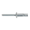 Zinc Plated Steel Structural Rivet 6.3 x 32mm - Pack of 100