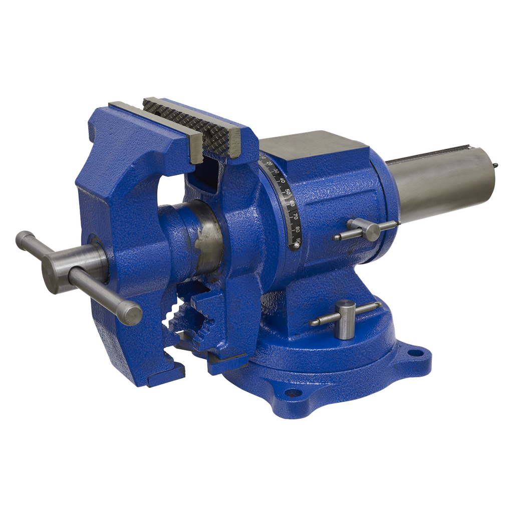 Multifunction Cast Iron Vice with Swivel Base 150mm