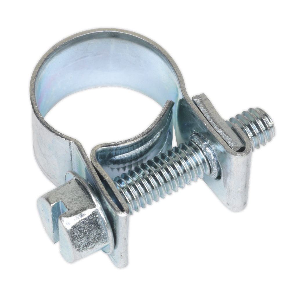 Mini Hose Clip 10-12mm - Pack of 30