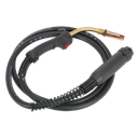 MIG Torch with 4m Euro Connection MB36