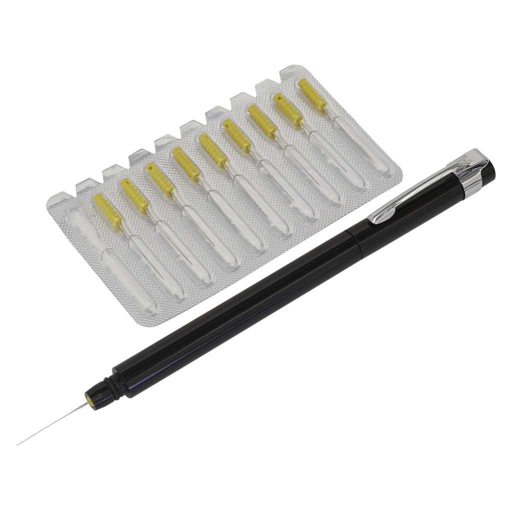 Sealey Paint Dirt Removal Pen with Needle Set