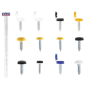 Clip Strip Deal - Mixed Numberplate Screws