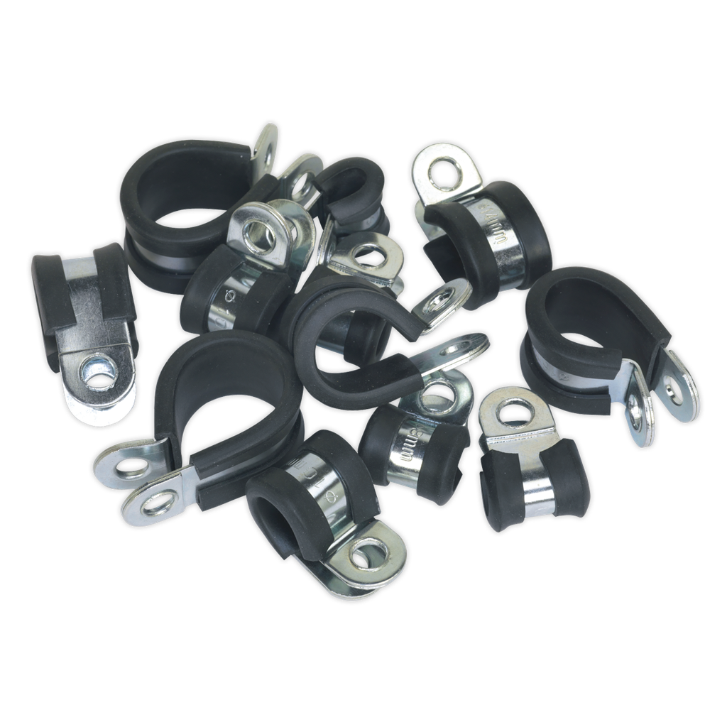 Rubber Lined P-Clip Assortment 60pc