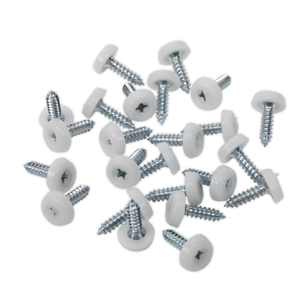 Numberplate Screw with Plastic Enclosed Head 4.8 x 18mm, White - Pack of 50