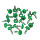 Numberplate Screws 4.8 x 18mm, Green - Pack of 50