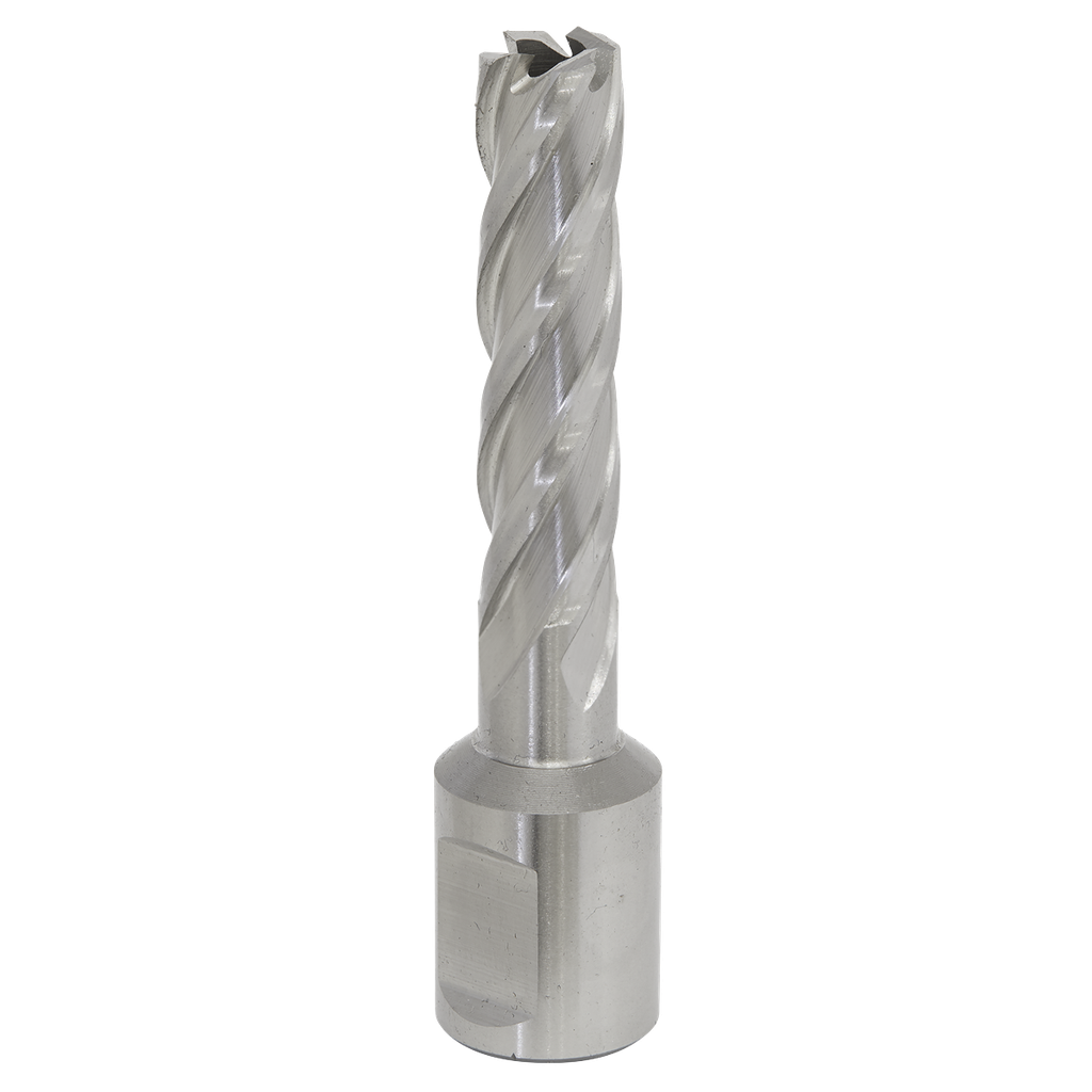 Sealey Worksafe® 12mm HSS Mag Drill Bit Cut Depth 50mm