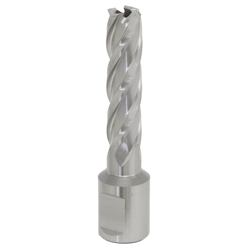 Sealey Worksafe® 13mm HSS Mag Drill Bit Cut Depth 50mm