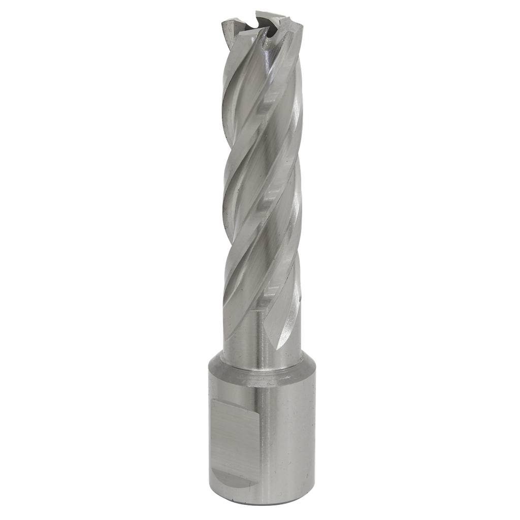 Sealey Worksafe® 14mm HSS Mag Drill Bit Cut Depth 50mm