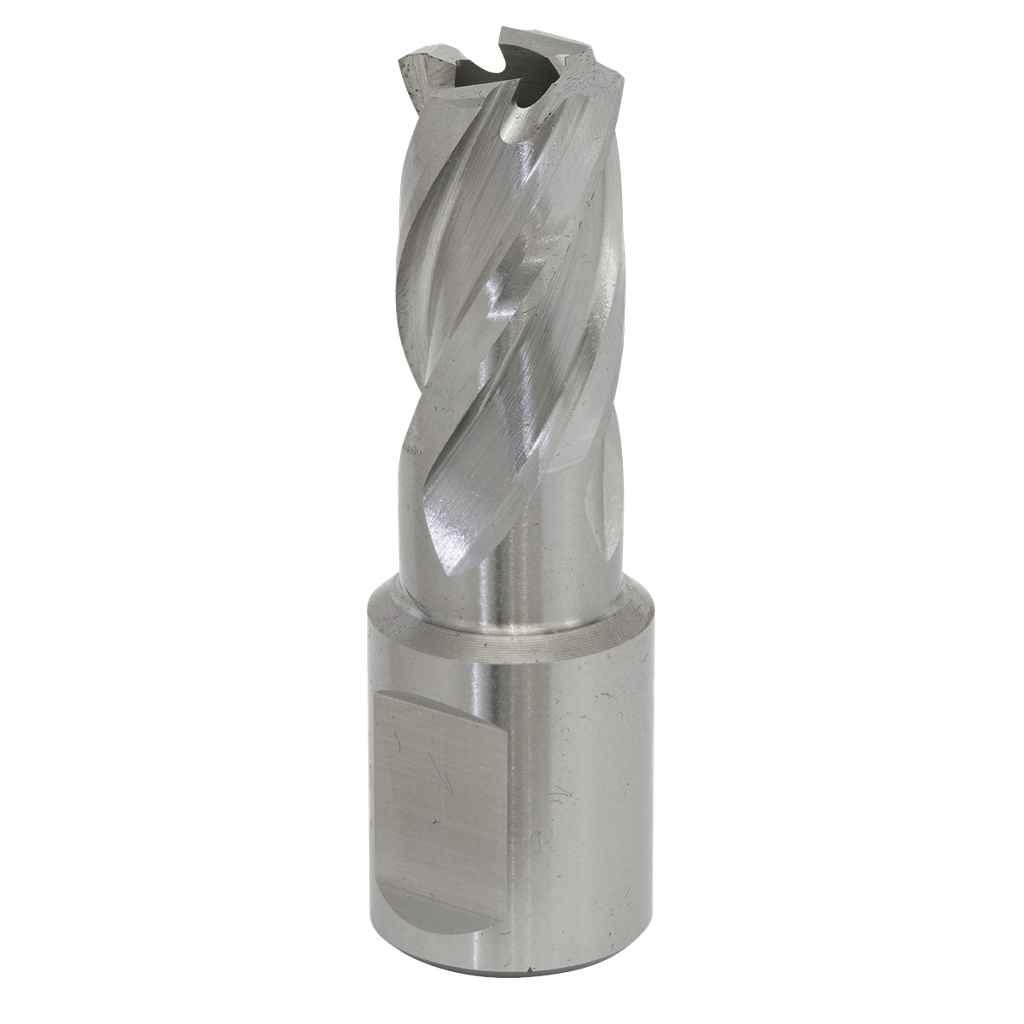 Sealey Worksafe® 15mm HSS Mag Drill Bit Cut Depth 25mm