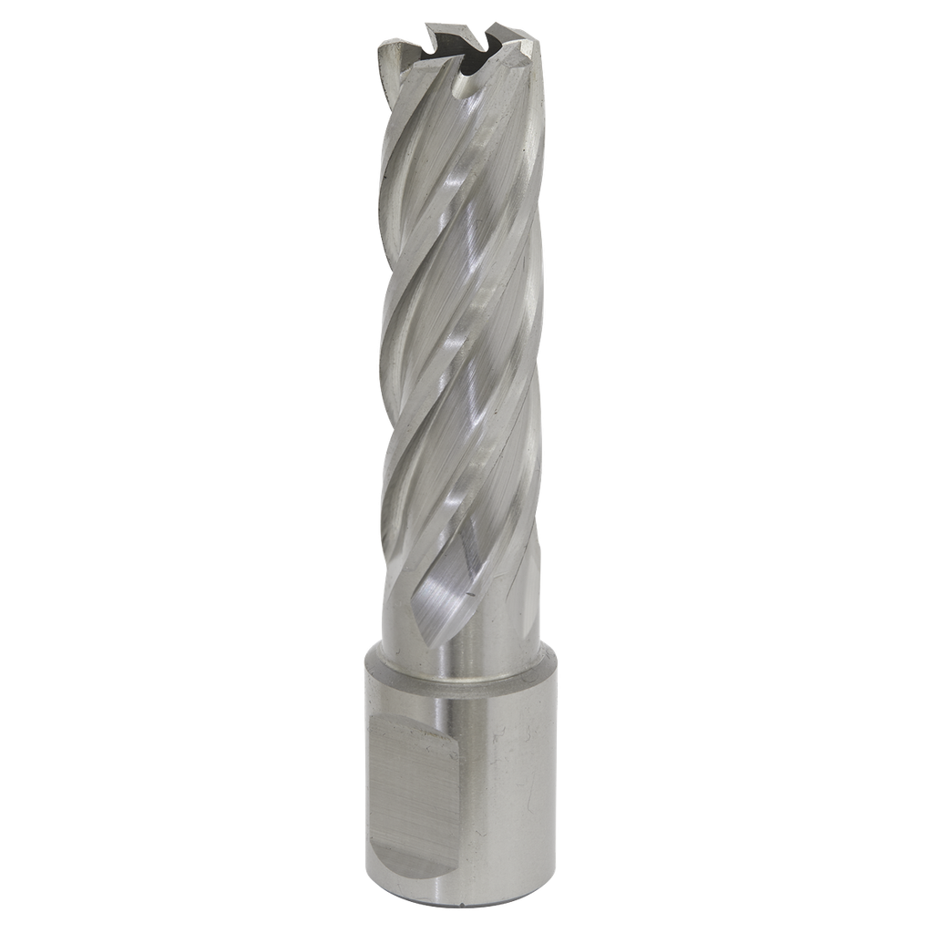 Sealey Worksafe® 16mm HSS Mag Drill Bit Cut Depth 50mm