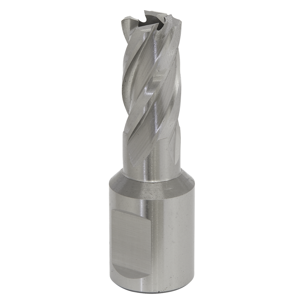 Sealey Worksafe® 16mm HSS Mag Drill Bit Cut Depth 25mm