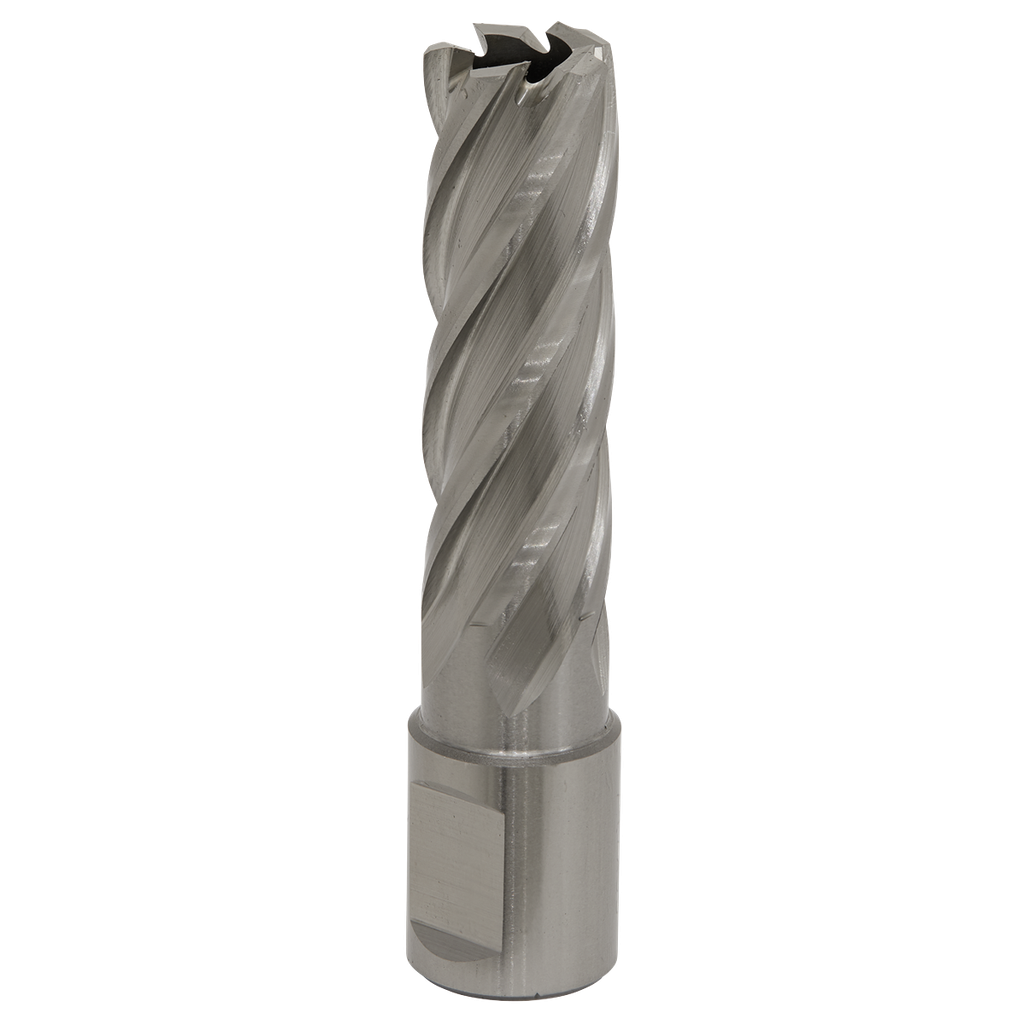 Sealey Worksafe® 17mm HSS Mag Drill Bit Cut Depth 50mm