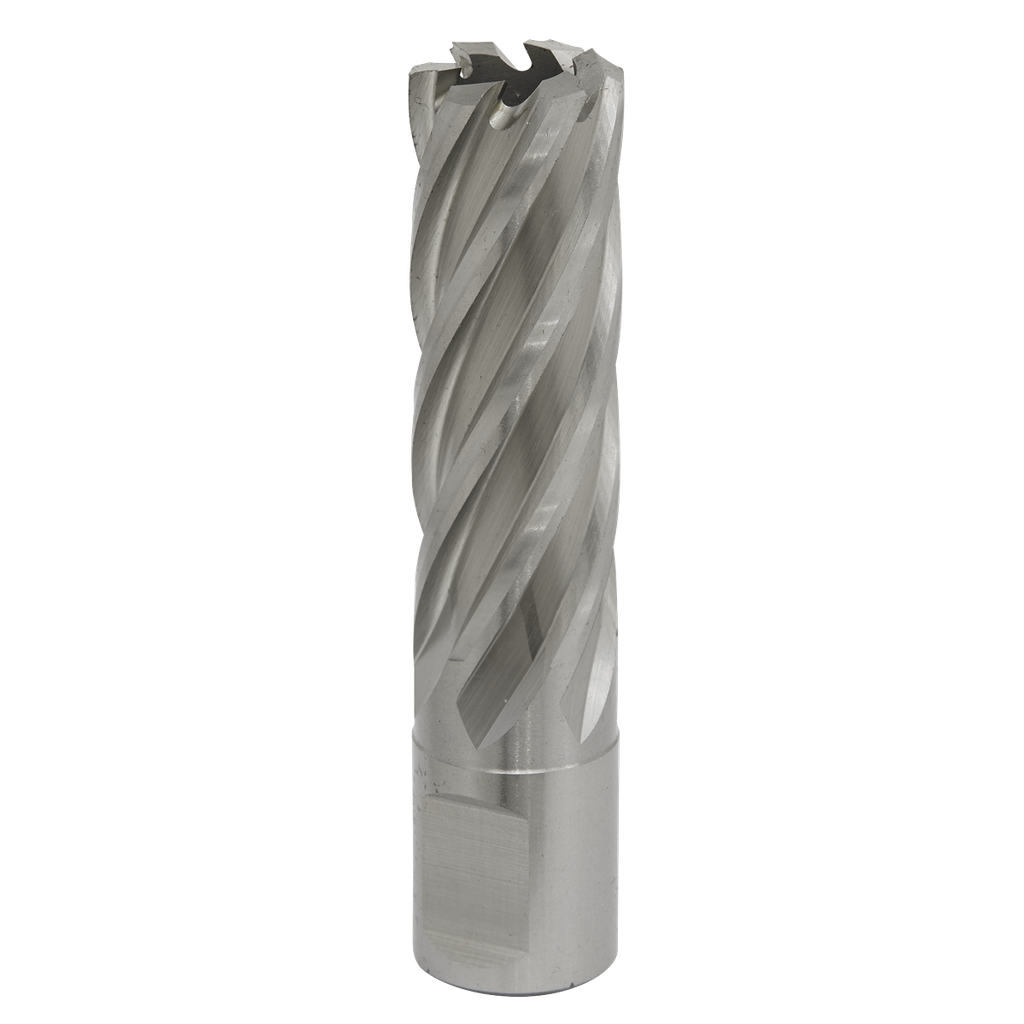 Sealey Worksafe® 19mm HSS Mag Drill Bit Cut Depth 50mm