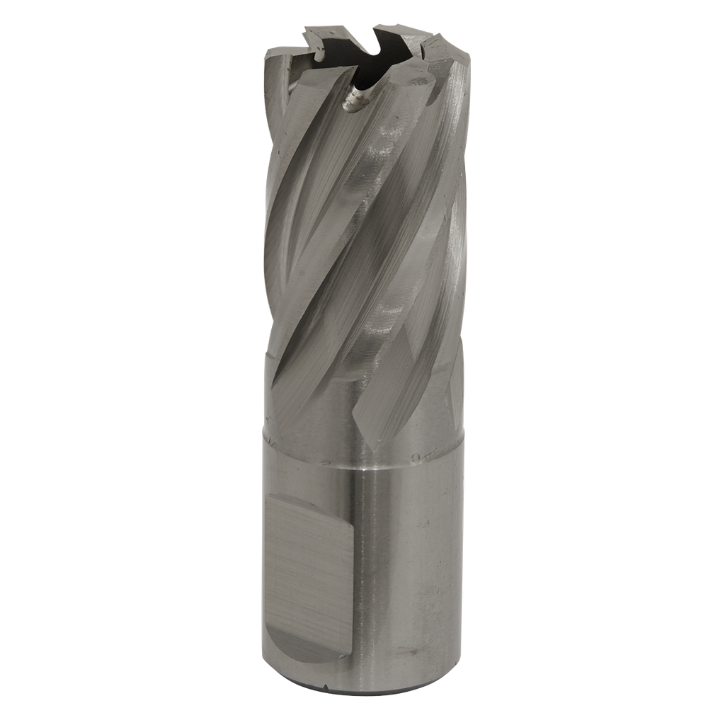 Sealey Worksafe® 19mm HSS Mag Drill Bit Cut Depth 25mm