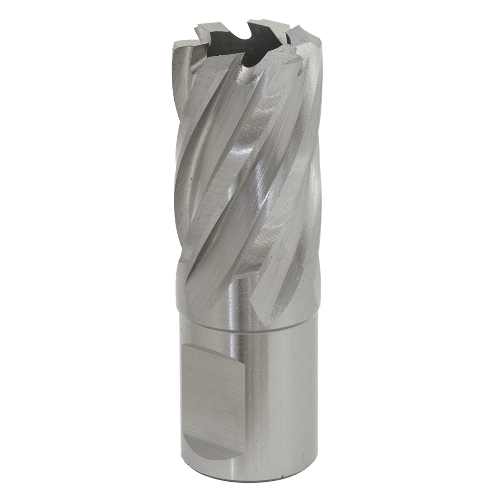 Sealey Worksafe® 20mm HSS Mag Drill Bit Cut Depth 25mm