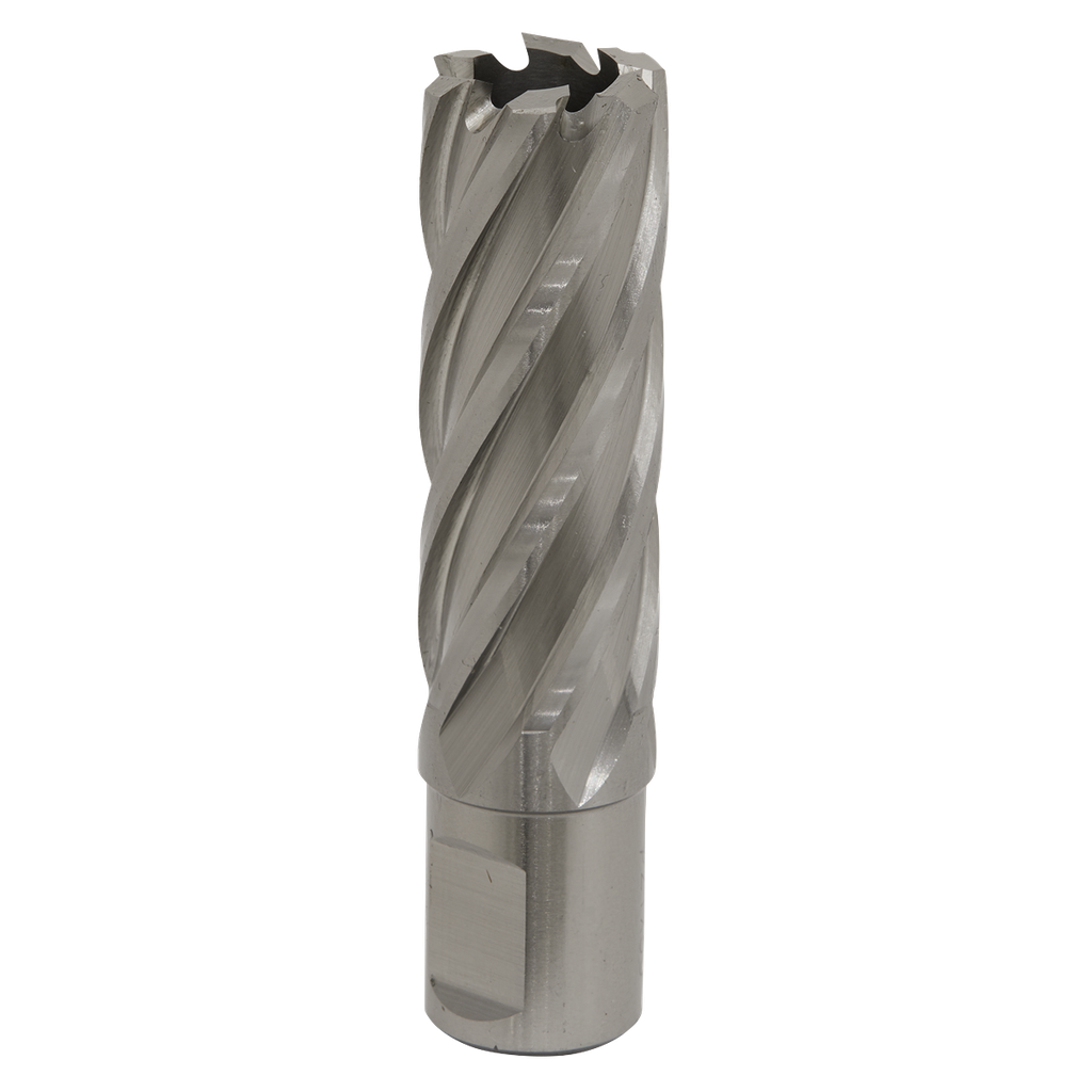 Sealey Worksafe® 21mm HSS Mag Drill Bit Cut Depth 50mm