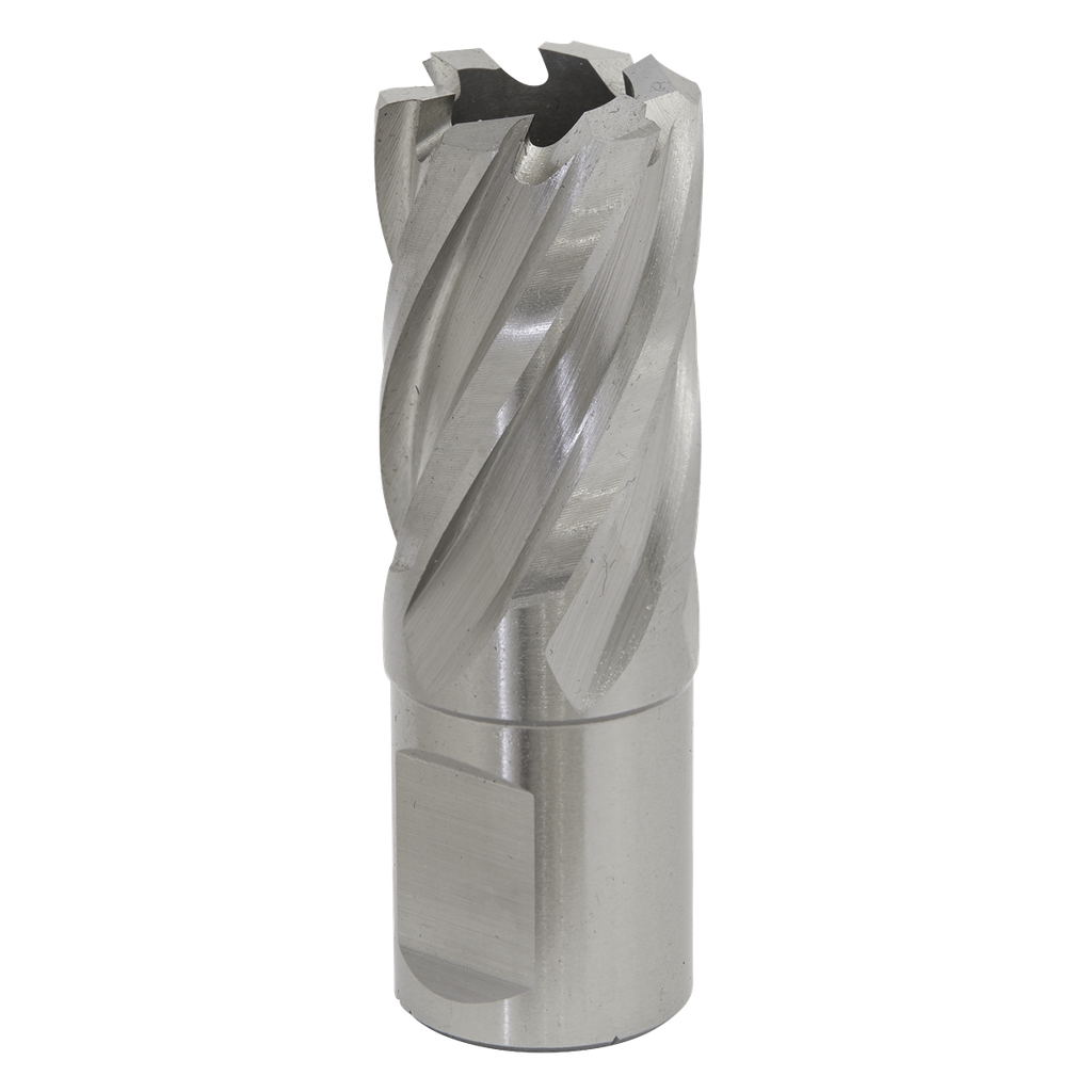 Sealey Worksafe® 21mm HSS Mag Drill Bit Cut Depth 25mm