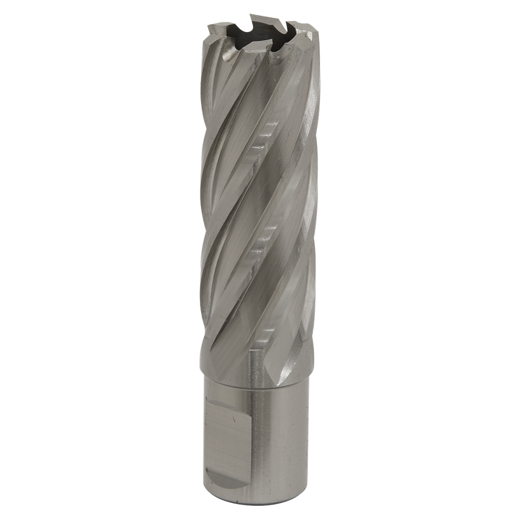 Sealey Worksafe® 22mm HSS Mag Drill Bit Cut Depth 50mm