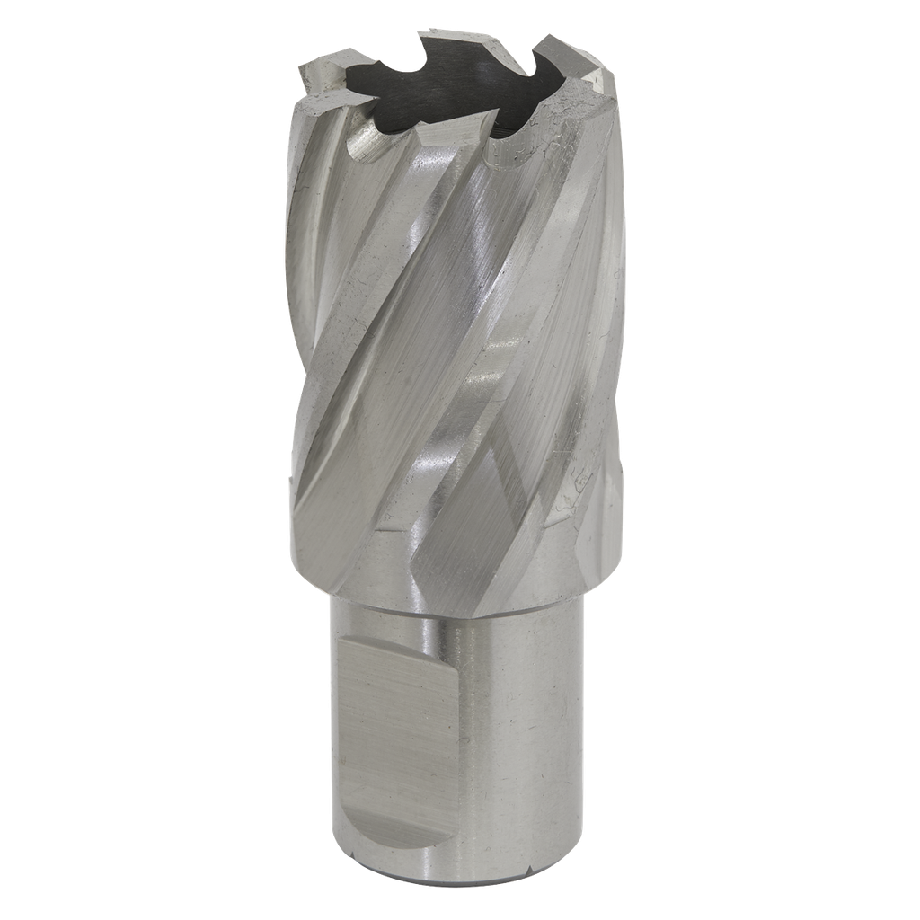 Sealey Worksafe® 28mm HSS Mag Drill Bit Cut Depth 25mm