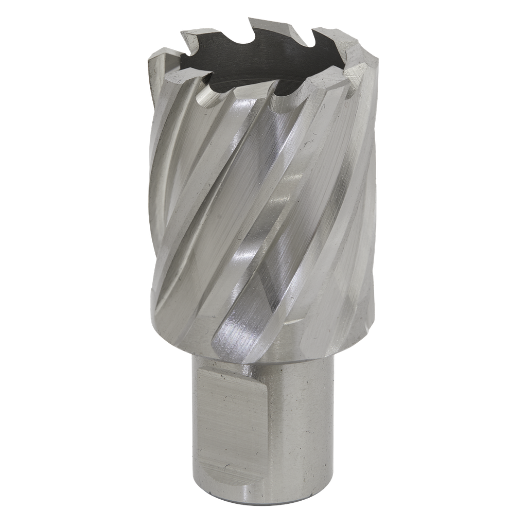 Sealey Worksafe® 30mm HSS Mag Drill Bit Cut Depth 25mm