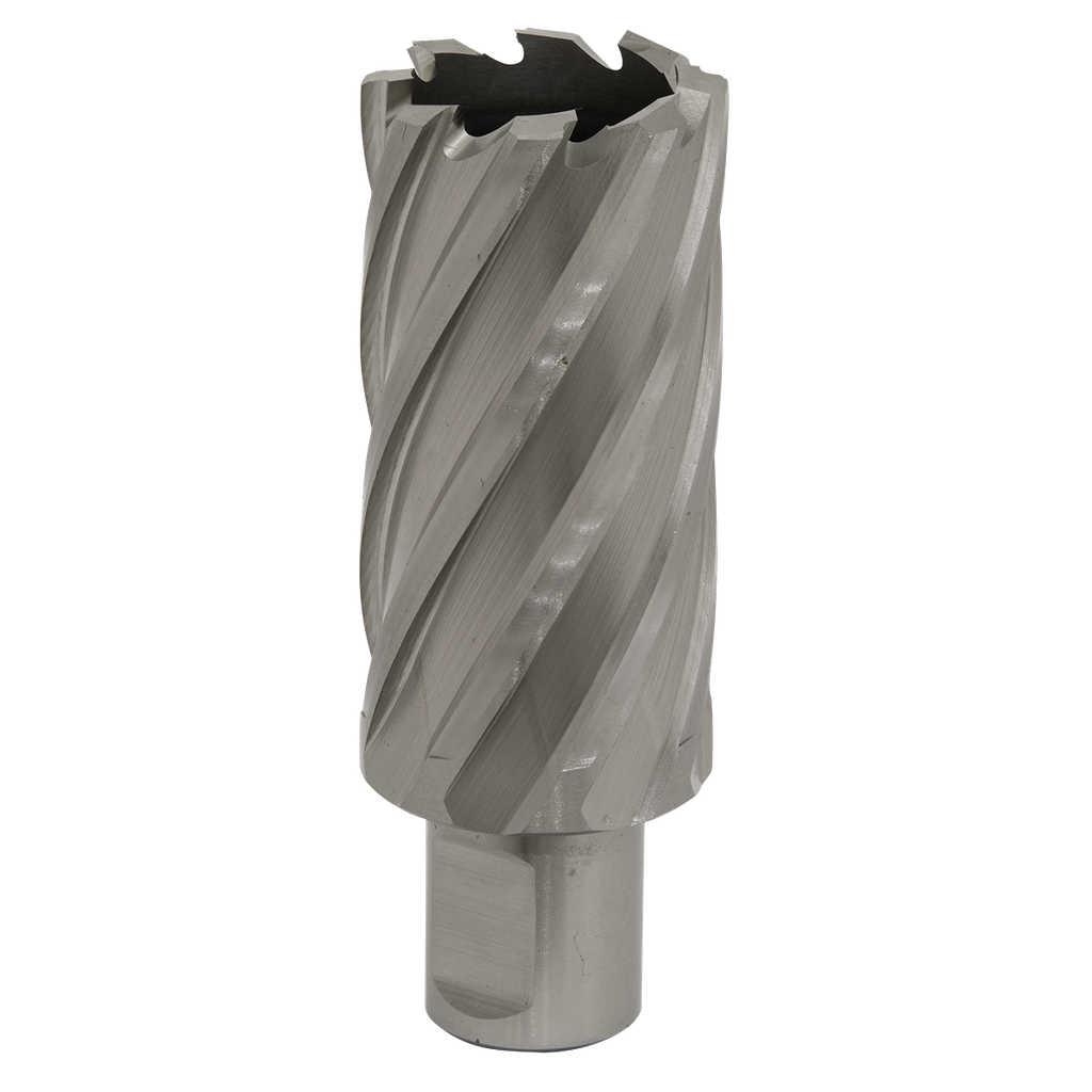 Sealey Worksafe® 31mm HSS Mag Drill Bit Cut Depth 50mm