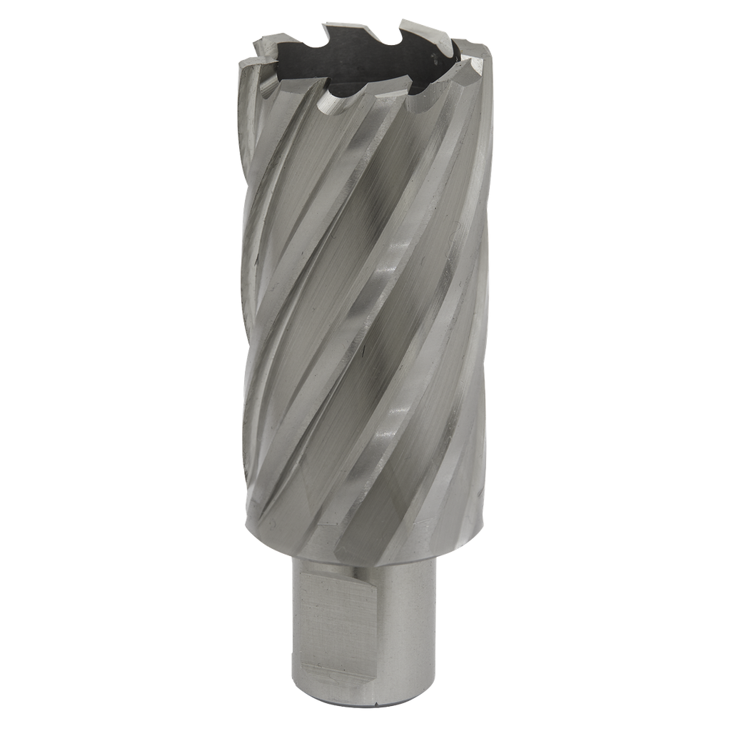 Sealey Worksafe® 32mm HSS Mag Drill Bit Cut Depth 50mm