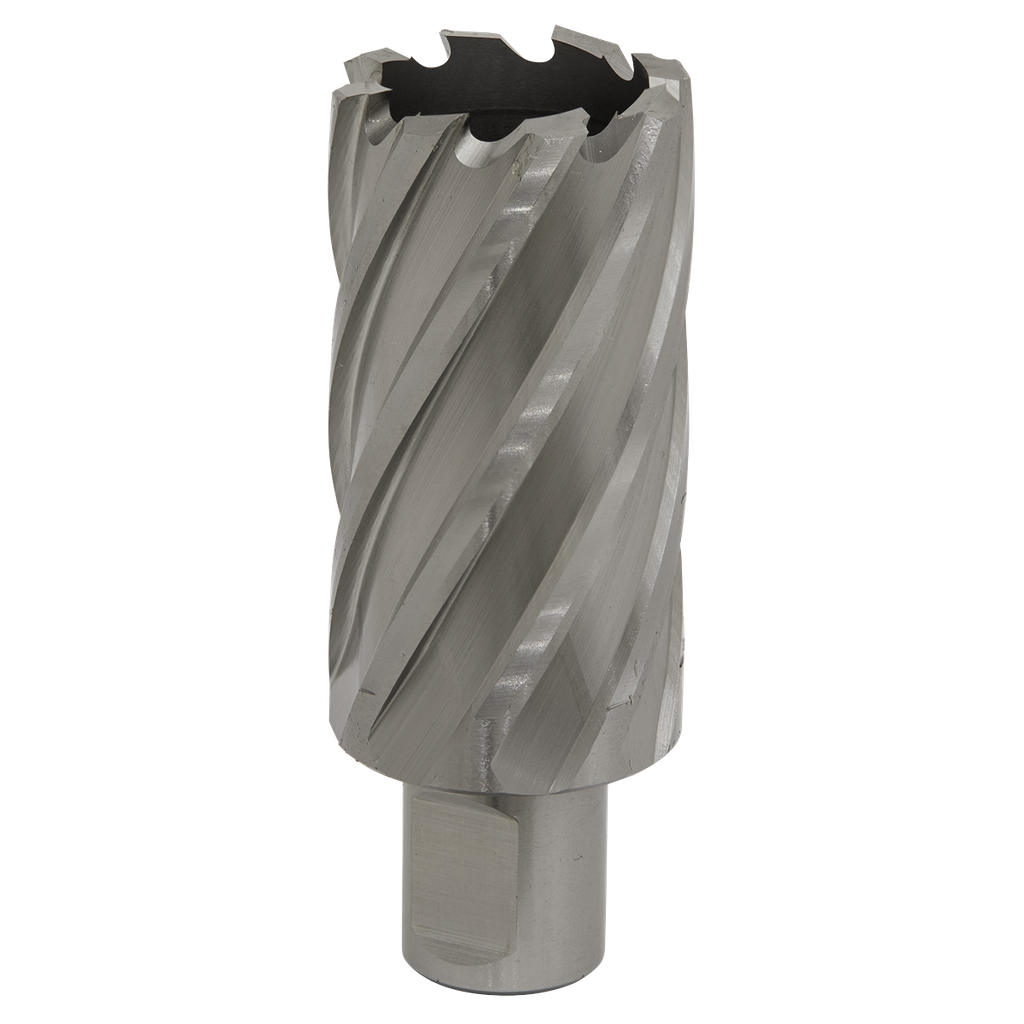Sealey Worksafe® 33mm HSS Mag Drill Bit Cut Depth 50mm