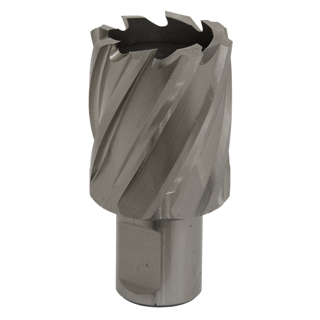 Sealey Worksafe® 33mm HSS Mag Drill Bit Cut Depth 25mm