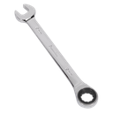 Sealey Premier Combination Ratchet Spanner 19mm