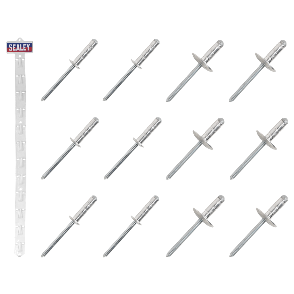 Clip Strip Deal - Aluminium Rivets