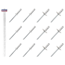 Sealey Clip Strip Deal - Aluminium Rivets